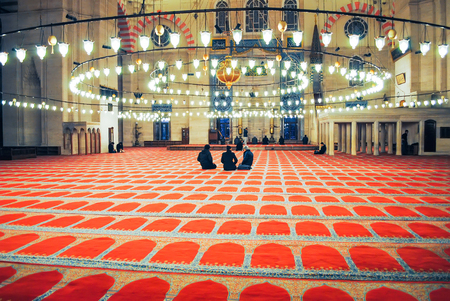 TURKEY, ISTANBUL - JANUARY 8/2013: Orthodox pilgrims visited the Aya Sophia Mosque in Christmas.のeditorial素材