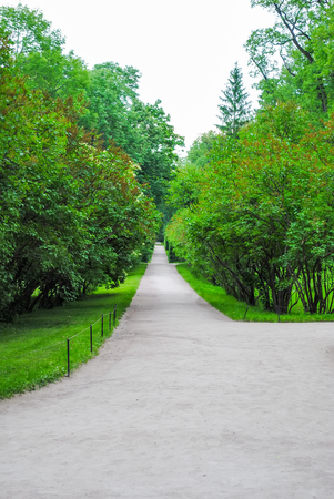 Park of Tsarskoye Selo in St. Petersburgのeditorial素材