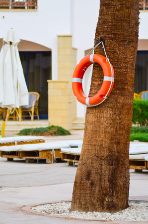 Life buoy hanging on a palm tree to ensure the safety of touristsの写真素材