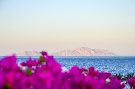 Beautiful evening at the hotel Arabic Egypt. Sharm el-Sheikhの写真素材