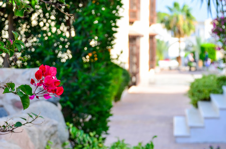 EGYPT, SHARM EL SHEIKH - 05 JUNE/2015: Visit the hotels auditor and evaluating the level of...