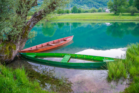 Two wooden boats are chained to the trunk of a tree on the shore.の写真素材