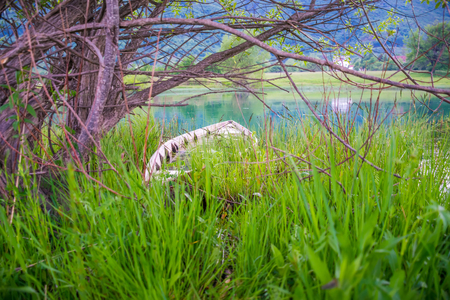 The old sunken fishing boat is moored to the shore in reeds.の写真素材