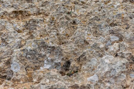 The surface of the dry stone by the sea.の写真素材