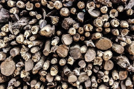 pile of woodの写真素材