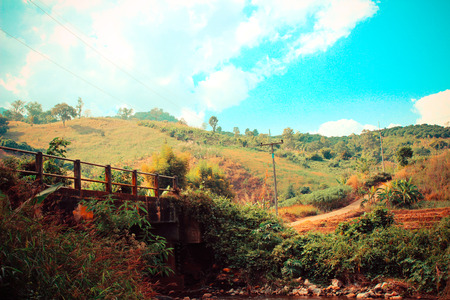 on the way homeの写真素材