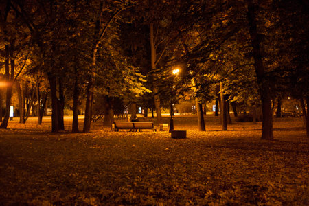 cuolpe in the parkの写真素材