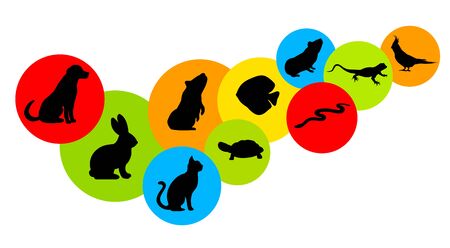 Animals collection vector illustrationのイラスト素材