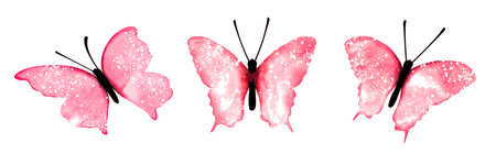 Butterflies graphic in vector quality.のイラスト素材