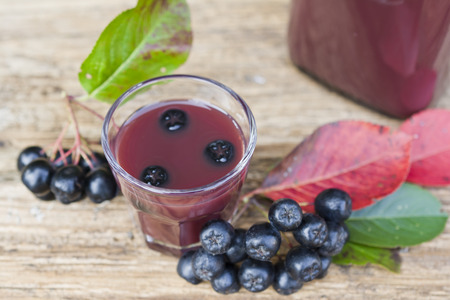 A glass of tincture of chokeberry.の写真素材