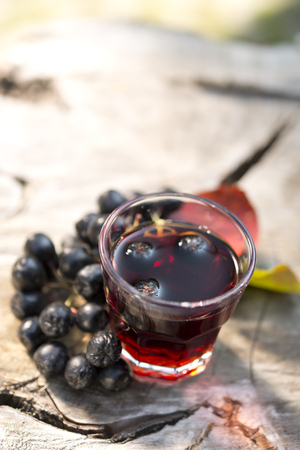 A glass of tincture of chokeberry.の写真素材
