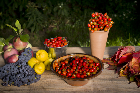 Clay bowl full of rose hips on wooden background. Autumn fruits in the background.の写真素材