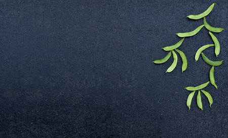 Beans with pods on black wooden background. Free space for your text.の写真素材