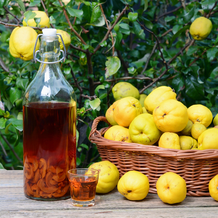 Tincture of quince and fruit in wicker basket on a wooden table.の写真素材
