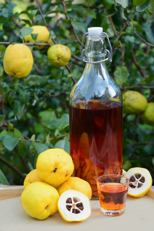 Tincture of quince and fruit on a wooden table. Photo taken outdoor.の写真素材