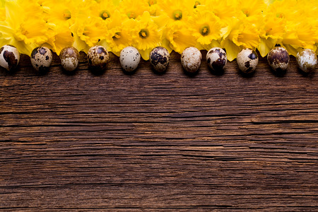 Wooden background with Easter eggs and daffodils.の写真素材