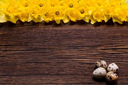 Wooden background with Easter eggs and daffodils.の写真素材
