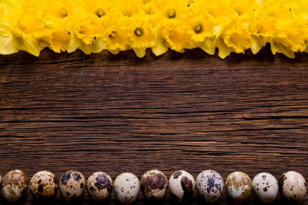 Wooden background with Easter eggs and daffodils.の写真素材
