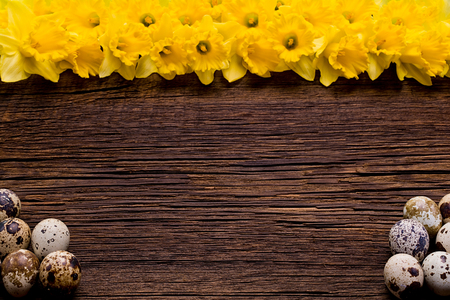 Wooden background with Easter eggs and daffodils.の写真素材