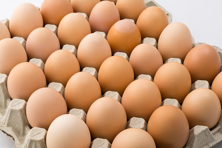 Background of chicken eggs in a cardboard tray.の写真素材