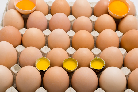 Background of chicken and quail eggs in a cardboard tray.の写真素材