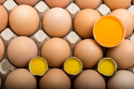 Background of chicken and quail eggs in a cardboard tray.の写真素材