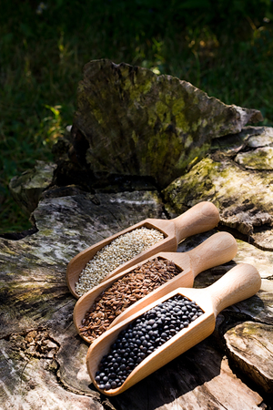 Black chickpeas seeds, quinoa and flax seeds in a wooden spoon.の写真素材