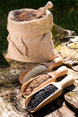 Black chickpeas seeds, quinoa and flax seeds in a wooden spoon. In the background jute bag with seeds.の写真素材