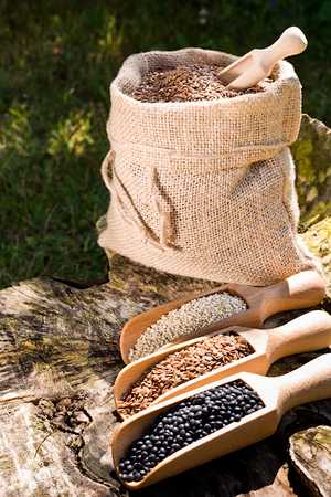 Black chickpeas seeds, quinoa and flax seeds in a wooden spoon. In the background jute bag with seeds.の写真素材