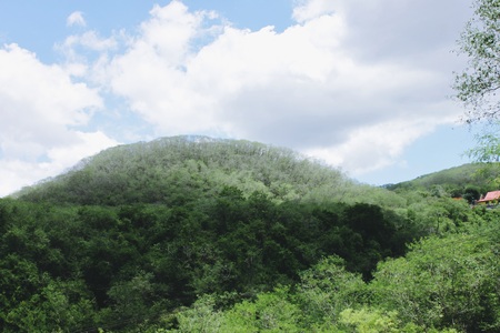 peacefullyの写真素材