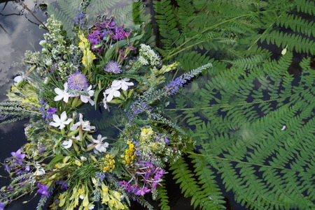 wreath and fern leaves in waterの写真素材