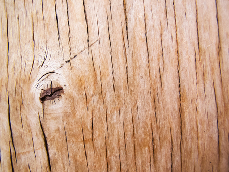 Wooden background with cracks. Textured board with cracksの写真素材