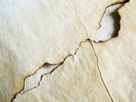 Vintage scorched background paper.