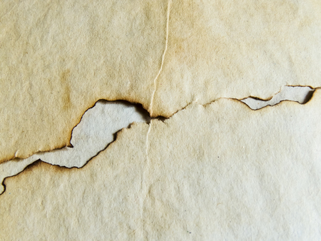 Vintage scorched background paper.の写真素材