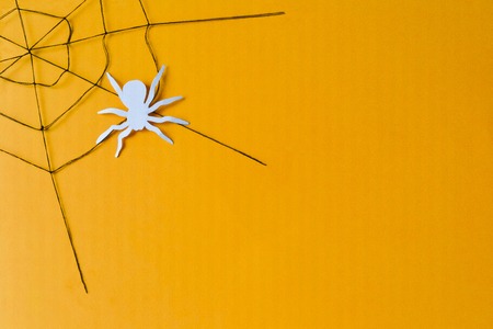 Image of a spider-web on a halloween style background.の写真素材