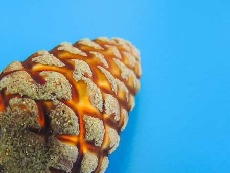 Christmas toy. Pine Cone on blue background