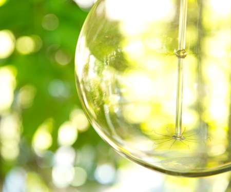 blur light of green bokeh with glass ball abstractの写真素材