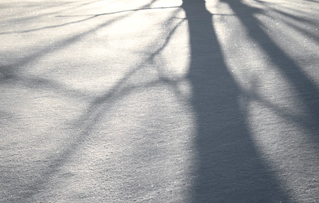 black shadow of tree on white snow in winter backgroundの写真素材