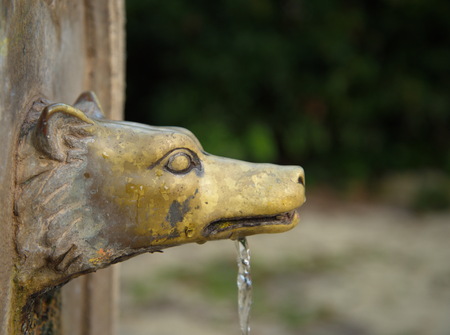bronze wolf head fountain in Rome Italyの写真素材