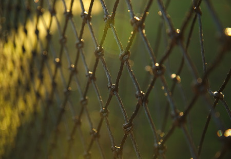 blur net with green sport field backgroundの写真素材