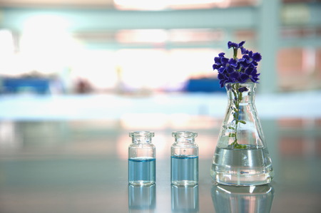 flask and blue vial with purple flower in science medical laboratoryの写真素材