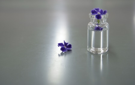 purple flower in science clear glass vial in the labの写真素材