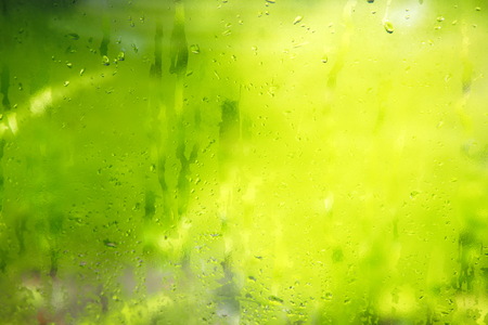blur green yellow garden trough glass with nature water drop background