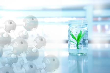 small green plant in bottle glass with chemical molecule in science laboratory backgroundの写真素材