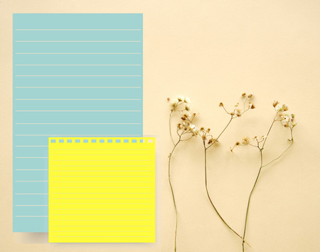 blue yellow paper note with dry nature flower on beige backgroundの写真素材