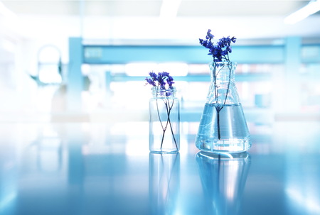 purple flower with glass flask and vial in experimental biological cosmetic health science blue laboratory backgroundの写真素材