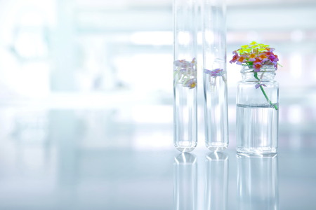 small flower with test tube and glass vial in nature botanical biotechnology science laboratory backgroundの写真素材