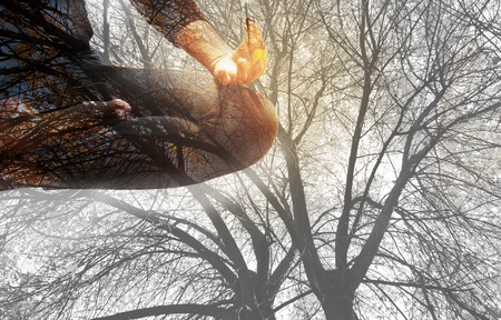 Double exposure view of a woman in yoga pose with a a tree