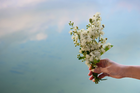 wild bouquet of white blooming flower holding in woman hand with blue water lake summer nature backgroundの写真素材