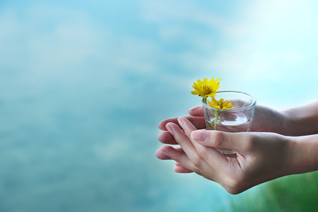 woman hand with shot glass with small yellow flower with blue nature backgroundの写真素材